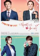 Divorce Lawyer in Love (2015)