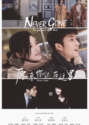 Never Gone Episode 1-36 END Subtitle Indonesia